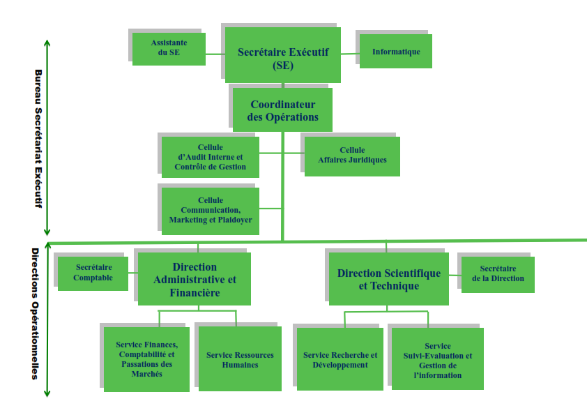 ORGANIGRAMME APGMV v18